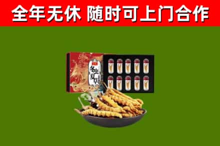 延寿回收冬虫夏草价格
