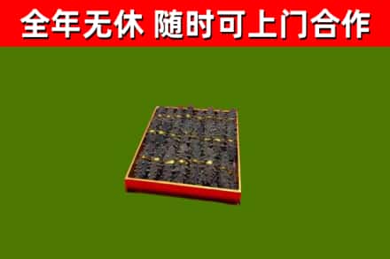 延寿回收海参